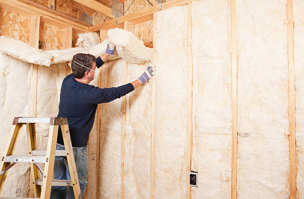 Best Insulation Air Sealing in Custer, SD